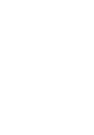 Bad Torro's logo, great example of complete brand development from scratch, including all design materials and website design