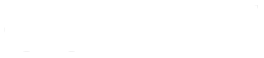Coninx's logo, part of Dwarfs, Europe's large e-commerce company, partnered with Hyperzon for Amazon management.